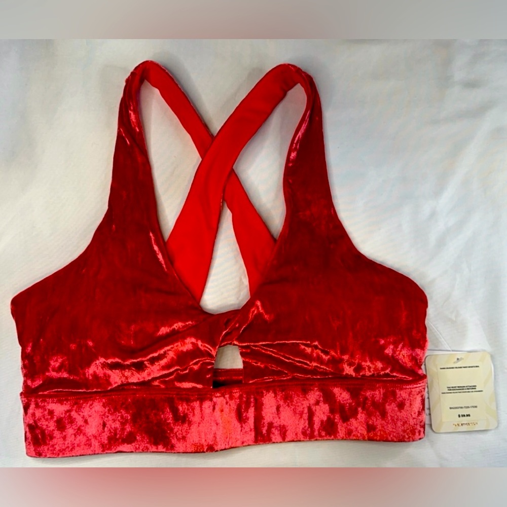 Fabletics Velvet Sports Bra
